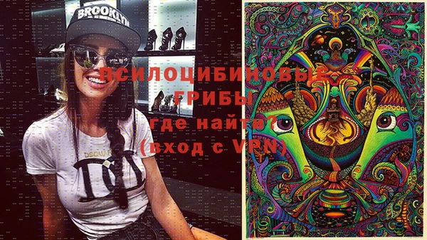 спиды Алзамай