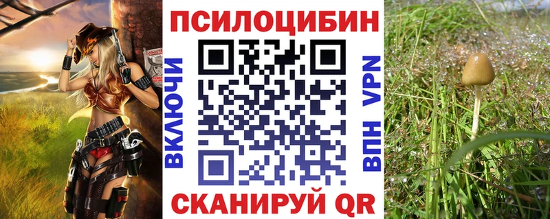 Псилоцибиновые грибы MAGIC MUSHROOMS Мегион