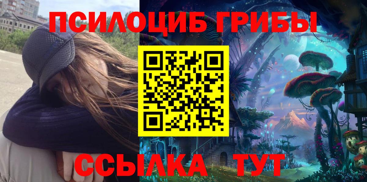 Галлюциногенные грибы прущие грибы Мегион